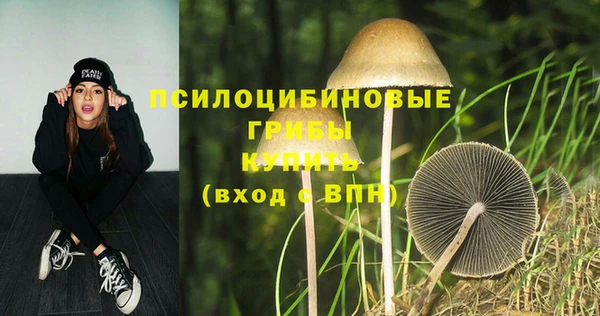бошки Абаза