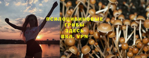 дмт Абдулино