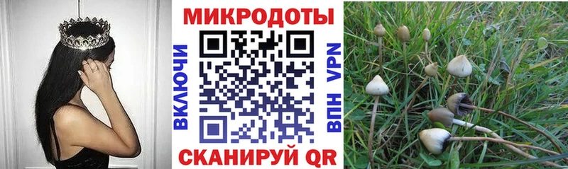 Псилоцибиновые грибы ЛСД  Фурманов 